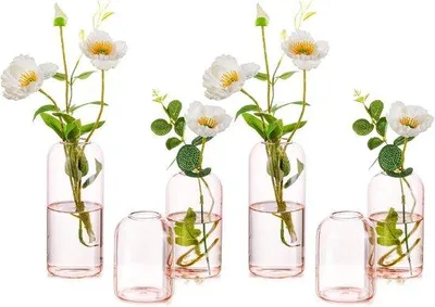 Produktbild von Famanu Kleine Zylinder-Vasen 6er Set - Moderne Rosa Blumenvasen
