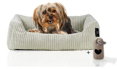 Produktbild von Rohrschneider Hundebett waschbar für kleine und mittelgroße Hunde mit Hundekissen Cord  inkl. Gassibeutel, Farbe:beige 55cm, Muster:Cordstoff breit