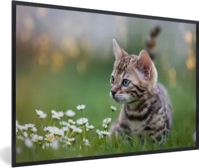 Produktbild von MuchoWow® Gerahmtes Poster Ein Kätzchen im Gras 90x60 cm - Poster mit Schwarzem Bilderrahmen Wandposter Rahmen Foto Bilder - Fotorahmen - Foto-Plakat