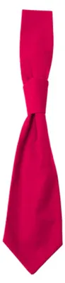 Image de CG Workwear 01360-01 | Cravate Messina / e Oeko-Tex 100 - Couleur : Evergreen - Taille : One Size