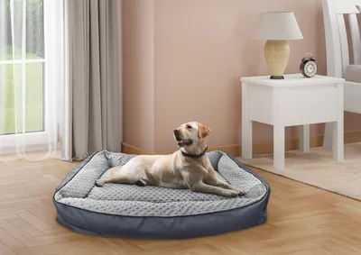 Immagine prodotto di Cinque taglie per cuscino/letto ortopedico per cani per ogni taglia di cane, lavabile V-30.3174x50