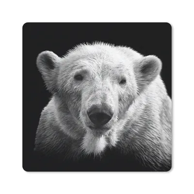 Produktbild von MuchoWow® Mauspad Mousepad Eisbär - Tier - Schwarz - Weiß 20x20 cm - Mousepads - Maus Mat - Pad - Mausunterlage - Desk Mat - Bureauartikeln