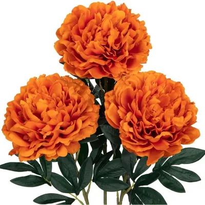 Produktbild von 3PCS Künstliche Pfingstrosen Stiel Kunstblumen Orange Rosen Bouquet