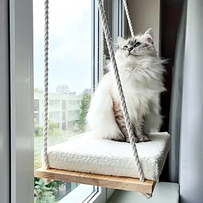 Produktbild von Katzenhängematte Fensterbett Katzenliege - Saugnäpfe - Max. 18 kg - Fensterliegeplatz für Katzen