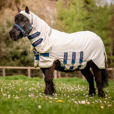 Produktbild von Horseware Amigo Petite Ripstop Hoody, Größe:75 cm / 3'9, Farbe:Chalk/ Navy & Rose