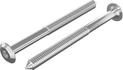 Obrázok produktu pre Nábytkové skrutky 2 pcs Strieborná M6 x 70 mm Oceľ