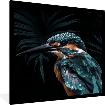 Produktbild von MuchoWow® MuchoWow® Gerahmtes Poster Eisvogel - Vogel - Grün 40x40 cm - Poster mit zchwarzem Bilderrahmen - Mit Rahmen - Wanddekoration Schlafzimmer
