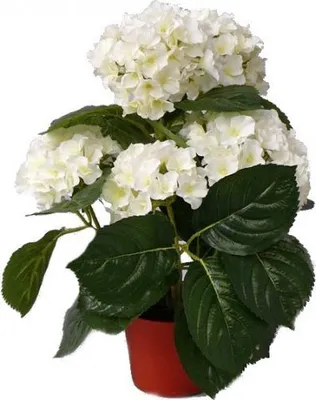 Produktbild von Topart Kunstpflanze mit Blumen - Hortensie - weis - 36 cm