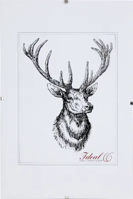 A black and white sketch of a deer's head with large antlers is displayed within a white frame. Below the sketch, there is text.