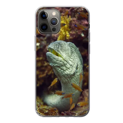 Produktbild von MuchoWow® Handyhülle Schutzhülle Hülle für iPhone 13 Pro Fische - Korallen - Ozean Silikon Softcase Handy Hülle - Handy-Tasche