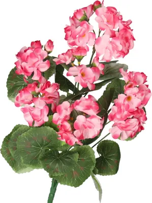 Image de Fleurs artificielles, plante géranium, bouquet, 45 cm, aspect très réaliste