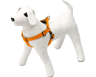 Zdjęcie produktu dla Szelki Karlie Art Sportiv Plus 1-2-3 Step and Go – uniwersalne, zestaw kolorów Mix and Match, kolor: pomarańczowy, rozmiar: 40–70 cm x 25 mm