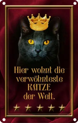 Produktbild von vianmo Blechschild 18x12 cm hier wohnt Katze der Welt Tier Haustier