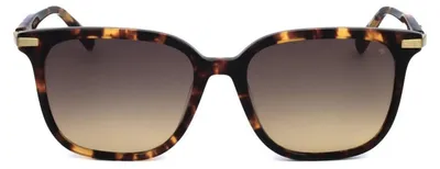 Produktbild von Scotch & Soda Sonnenbrille SS7032 102 54 17 145