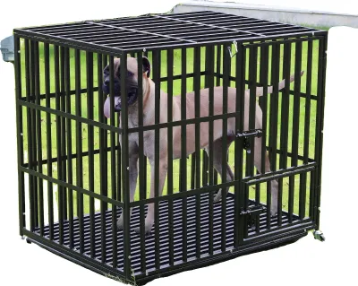 Produktbild von Hundekäfig, strapazierfähiges Metall, Sicherheitsmerkmale, schwarz-a, XXL