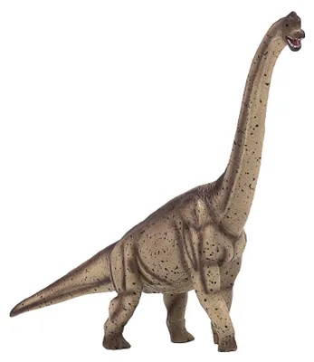 Produktbild von Mojo 387381 Animal Planet Brachiosaurus