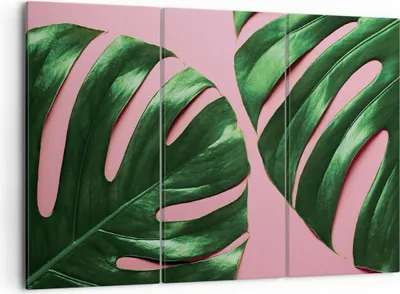 Produktbild von Bild auf Leinwand - Leinwandbild - 3 Teile - Monstera Blatt Rosa - 105x70cm - Wand Bild - Wanddeko - Wandbilder - Leinwanddruck - Bilder - Wanddekoration - Leinwand bilder - Wandbild - CE105x70-4407