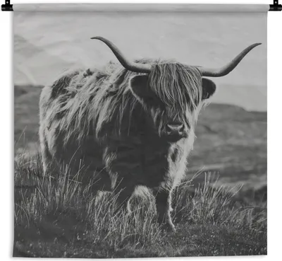 Produktbild von MuchoWow® Wandteppich Wandbehang Schottischer Hochlandbewohner - Natur - Kühe - Tiere - Schwarz und weiß 60x60 cm Tapisserie Dekoration Wandtuch - Dekorationen - Wand Decke