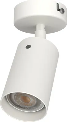 Immagine prodotto di Lampada Da Soffitto Form S