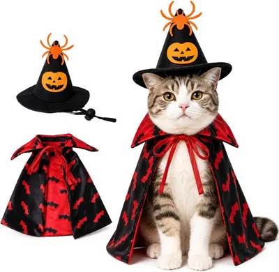 Produktbild von Katzen-Halloween-Kostüm, Hexenhut, Kürbis, Fledermaus, Umhang-Set