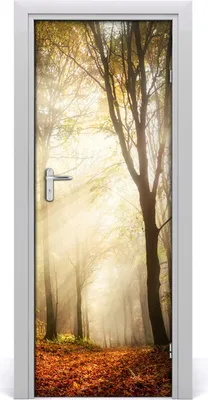Produktbild von Tulup Türaufkleber 75x205 cm Dekorative Aufkleber Selbstklebend Wasserdichte Tapete Abnehmbar Schlafzimmer Wohnzimmer Wohnkultur - Wald im Herbst