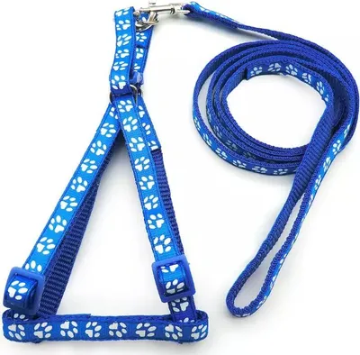 Obrázek produktu pro Postroj s vodítkem pro koťata 110/1cm modrý