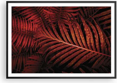 Produktbild von Gerahmtes Poster - Schwarzer Rahmen - Rot Blätter Palmen - 100x70 cm - Wand Bild - Wanddeko - Wandbilder - Kunstposter - Wandposter - Bilderrahmen - Bilder - Kunstdruck - P2BAA100x70-4816
