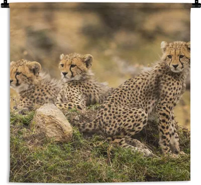 Produktbild von MuchoWow® Wandteppich Wandbehang Leopard - Wald - Tier 60x60 cm Tapisserie Dekoration Wandtuch - Dekorationen - Wand Decke