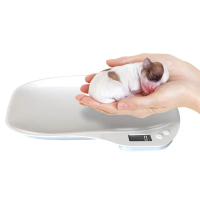 Produktbild von Digitale Mini-Tierwaage 15 kg/1 g, LCD-Anzeige, für Katzen, Welpen, Hamster, präzise & kompakt, wiederaufladbar & einfach zu bedienen