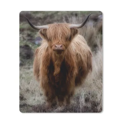 Produktbild von MuchoWow® Mauspad Mousepad Schottischer Hochländer - Moos - Gras 30x40 cm - Mousepads - Maus Mat - Pad - Mausunterlage - Mausmatten