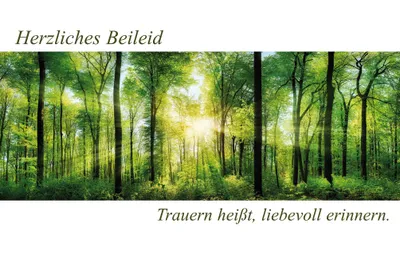 Produktbild von Trauer – Beileid - Kondolenzkarte im Format 11,5 x 17 cm mit
