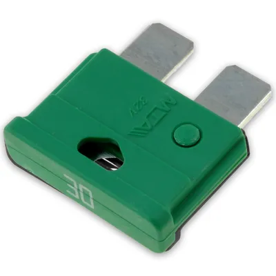 Produktbild von Sicherung | MTA UniVAL | Flachstecksicherung | 32V | 30A | 5 Stück