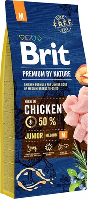 A bag of dog food with images of chicken and blueberries.
