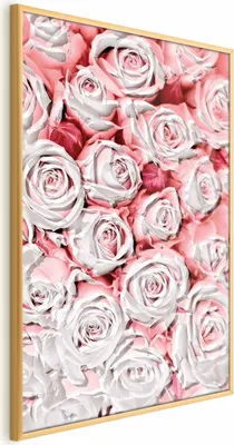 Produktbild von Posterpapier Poster - White Roses 29.7x42 cm Blumen b-C-0337-ao-a