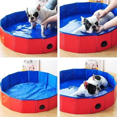 Produktbild von Portables, gefaltetes Schwimmbecken für Hunde und Kleinkinder, Sommerdeal, 120 x 30 cm