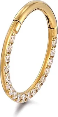 Produktbild von Karisma Vergoldet Titan G23 Hinged Segmentring Charnier/Conch Septum Clicker Ring Piercing Ohrring Zirkonia Stärke 1,2mm - (Durchmesser) - 10mm