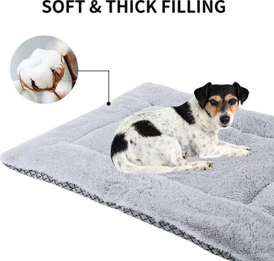 Produktbild von Famanu Hundeplatz für Sofa - Hunde- und Katzenbett, Kissen, weich und wendbar