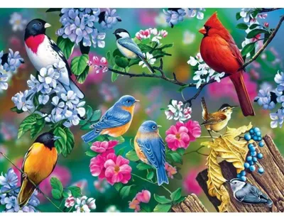 Obrázek produktu pro Mistrovská díla Puzzle Audubon Songbird Collage 1000 dílků Puzzle