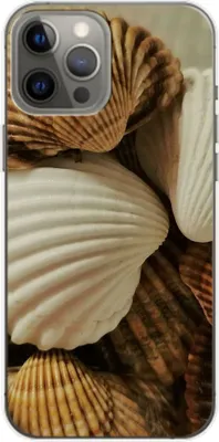 Produktbild von König Design Hülle kompatibel mit Apple iPhone 14 Plus Kunststoff Soft Handyhülle - Handy Case Muscheln