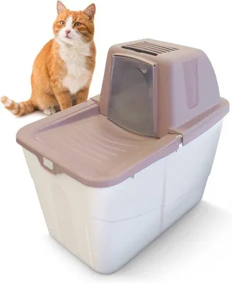 Produktbild von Hygiënische Kattebox mit Obersteig und Aktivkohlefilter - 58 x 39 x 56 cm