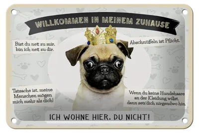 Produktbild von Blechschild Spruch 18x12cm Tiere Mops willkommen wohne hier Schild