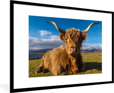 Produktbild von MuchoWow® Gerahmtes Poster Schottischer Highlander - Licht - Natur 90x60 cm - Poster mit Schwarzem Bilderrahmen Wandposter Rahmen Foto Bilder - Wanddekoration - Fotos