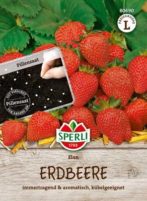 Produktbild von Sperli-Samen Erdbeere Elan