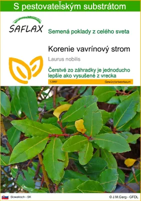Obrázok produktu pre SAFLAX - korenie vavrínový strom - Laurus nobilis - 6 Semená - S pestovateľským substrátom bez klíčkov