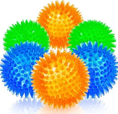 Produktbild von Famanu Hundespielzeug Bunte Gummibälle – Set von 6