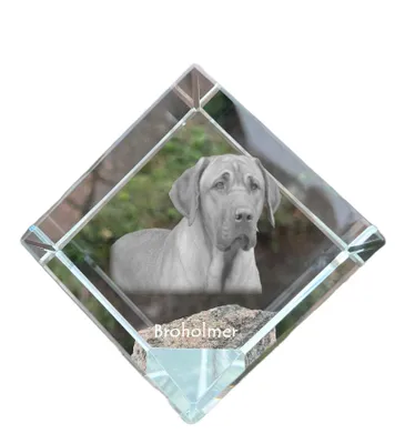 Produktbild von Art-Dog Briefbeschwerer Schwarz-Lohfarbener Waschbärenhund
