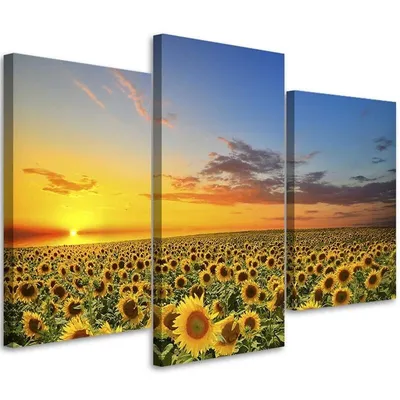 Obrázok produktu pre Triptych na plátne slnečnicová lúka pri západe slnka 120x80 cm Feeby žltá maľba na stenu pripravené na zavesenie