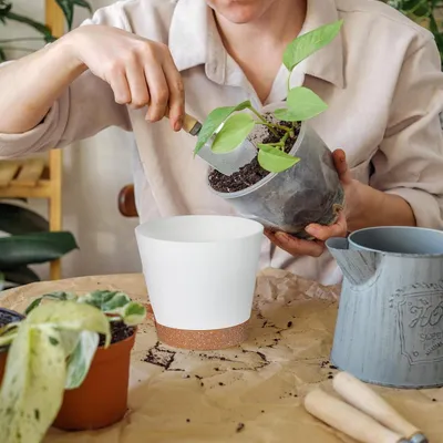 Image de Pots auto-irrigués - 7 pièces pour plantes d'intérieur - plastique blanc
