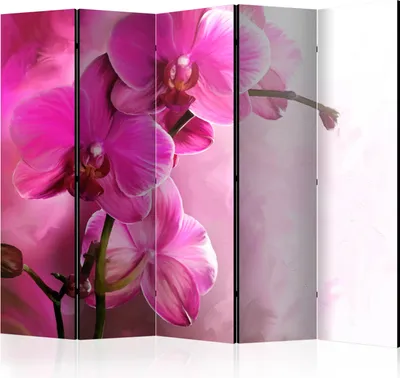 Produktbild von 5-teiliger Einseitiger Vlies Paravent - Pink Orchid II 225x172 cm Blumen b-A-0521-z-c