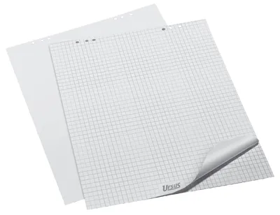 Produktbild von Scaldia 2078594, Flipchart pad, Weiß, Papier, Kariert, 80 g/m², 20 Seiten